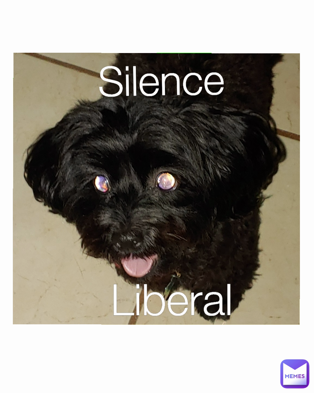 Liberal Silence