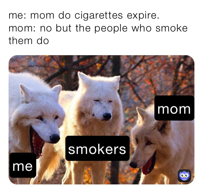 me: mom do cigarettes expire.
mom: no but the people who smoke them do