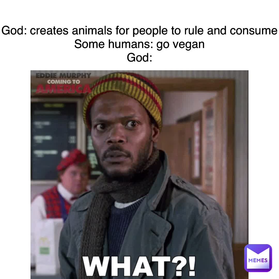 LOL 😂