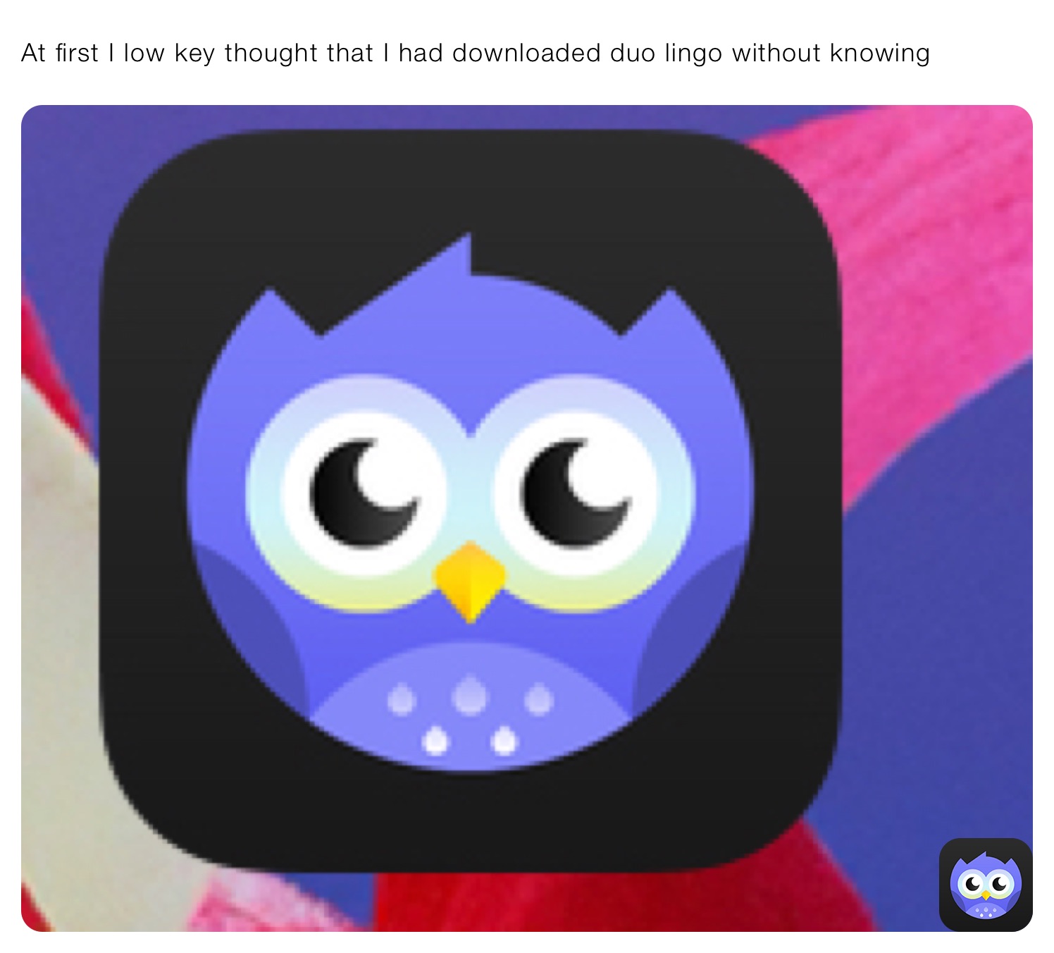 At first I low key thought that I had downloaded duo lingo without knowing