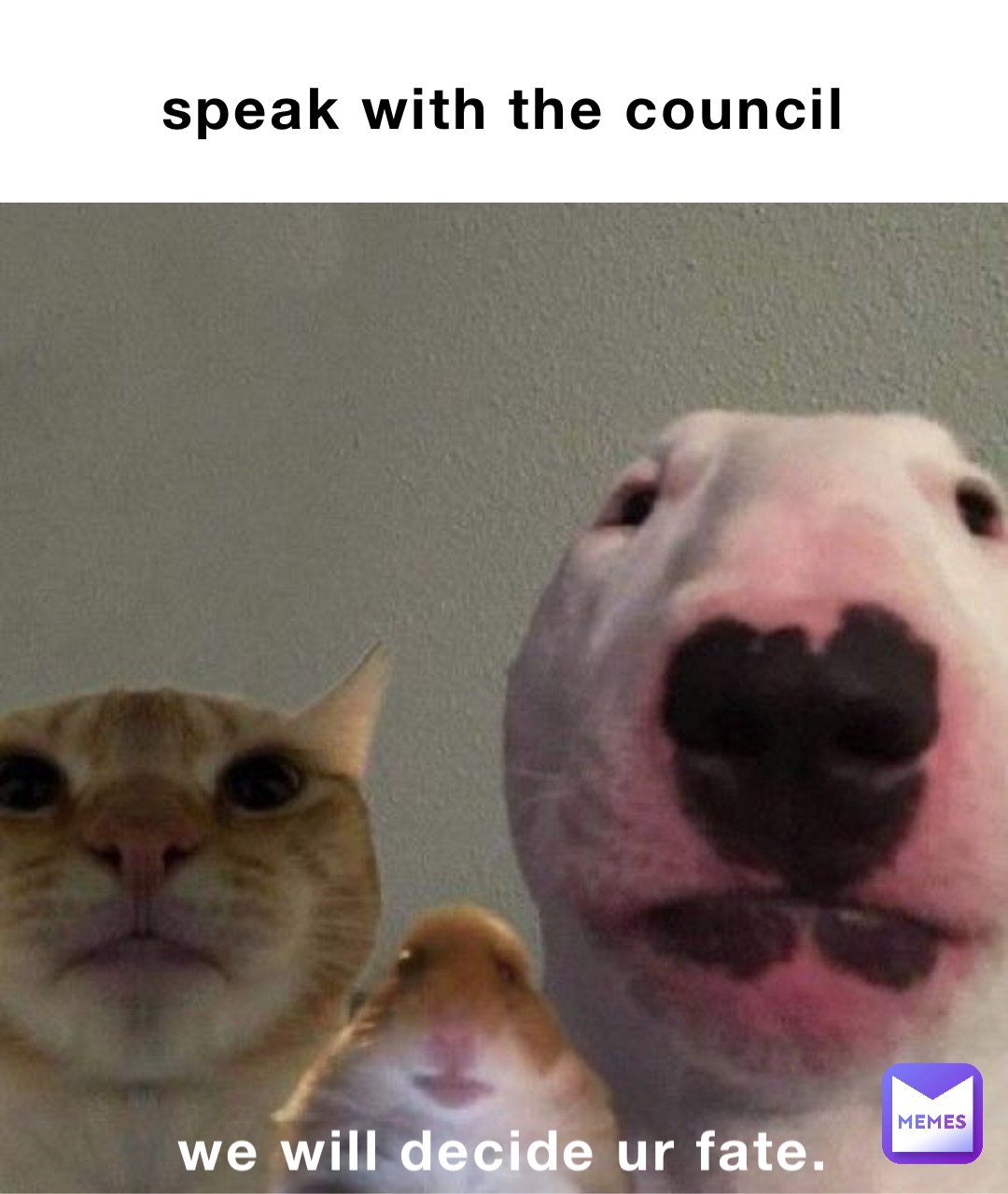 speak with the council we will decide ur fate.