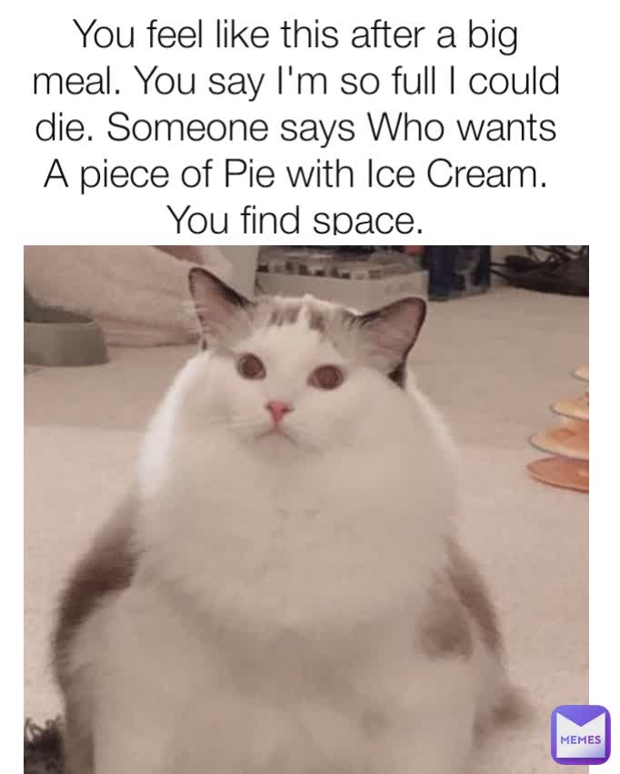 You feel like this after a big meal. You say I'm so full I could die. Someone says Who wants A piece of Pie with Ice Cream. You find space.