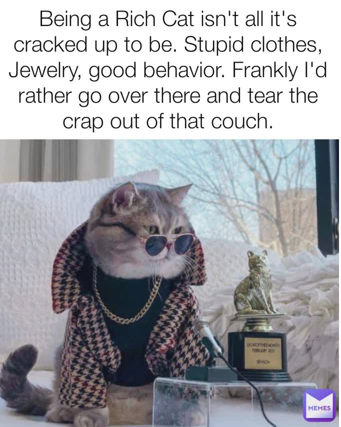 Being a Rich Cat isn't all it's cracked up to be. Stupid clothes, Jewelry, good behavior. Frankly I'd rather go over there and tear the crap out of that couch.