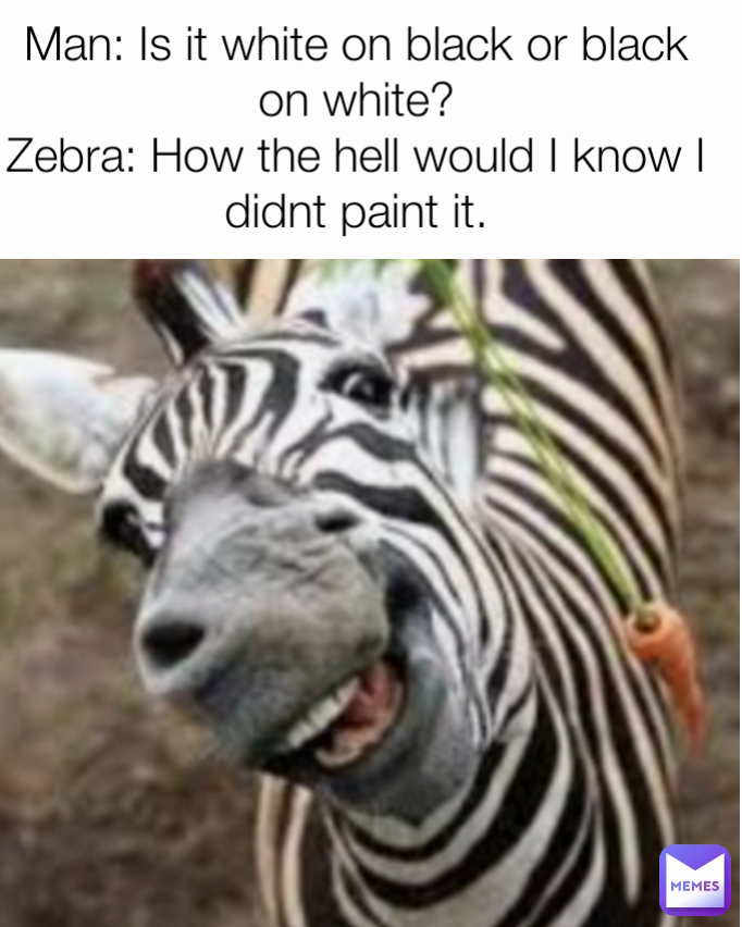 Man Is it white on black or black on white? Zebra How the hell would