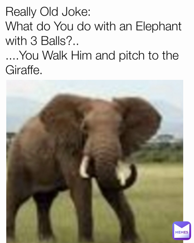 Really Old Joke What do You do with an Elephant with 3 Balls