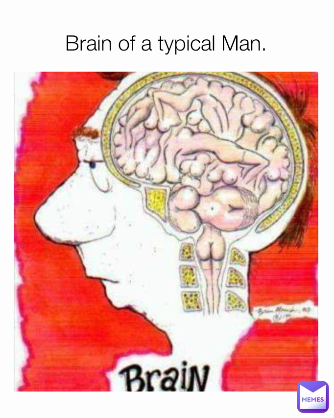 Brain of a typical Man.