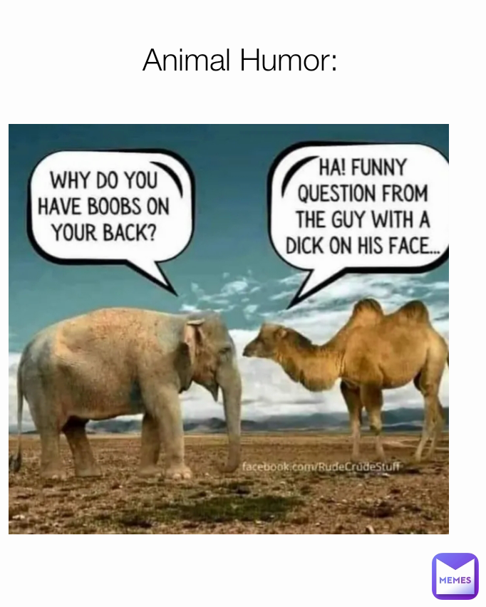 Animal Humor: