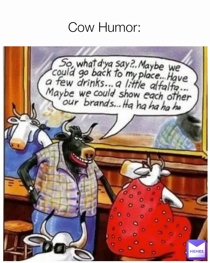 Cow Humor: