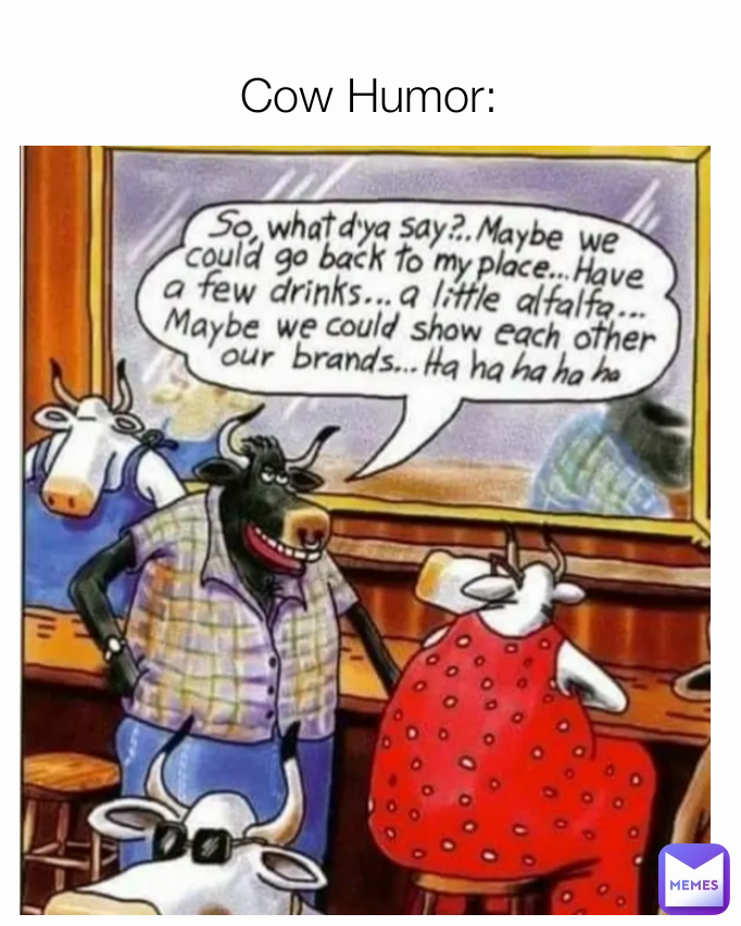 Cow Humor: