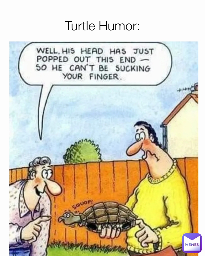 Turtle Humor: