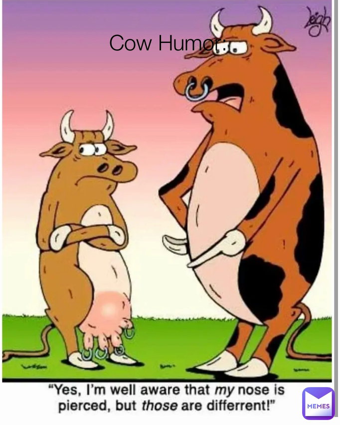 Cow Humor:
