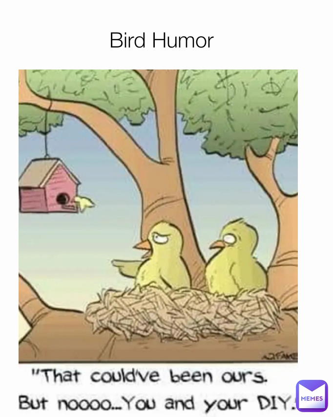 Bird Humor | @Curmudgeon | Memes