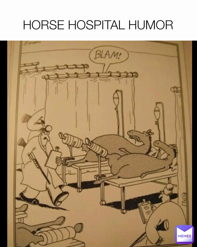 HORSE HOSPITAL HUMOR
