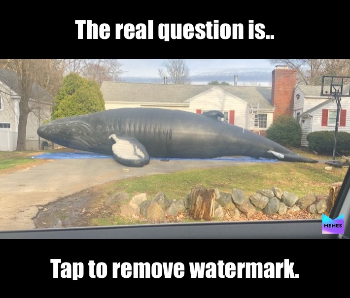 Meme by WhyAreYouGay