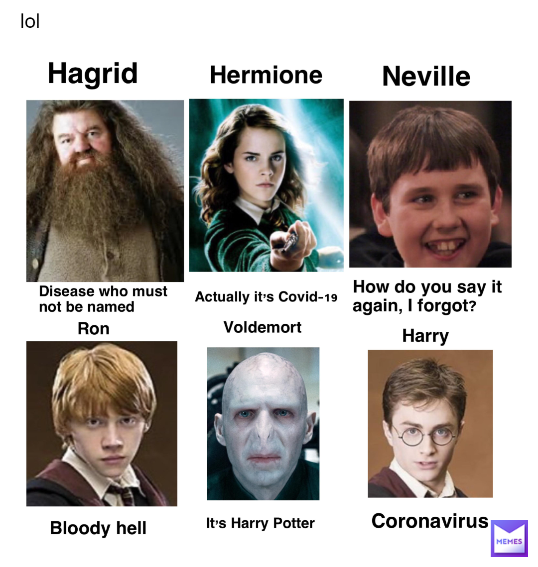 Harry Potter Memes' - Hogwarts Library