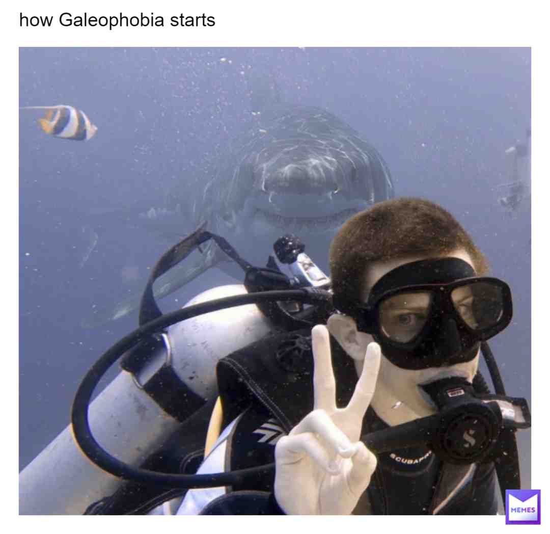 #sharks