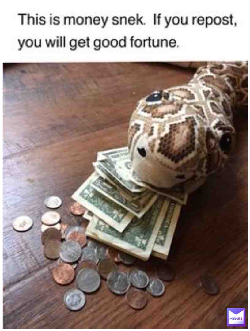 Meme shared by @mitch-lanet