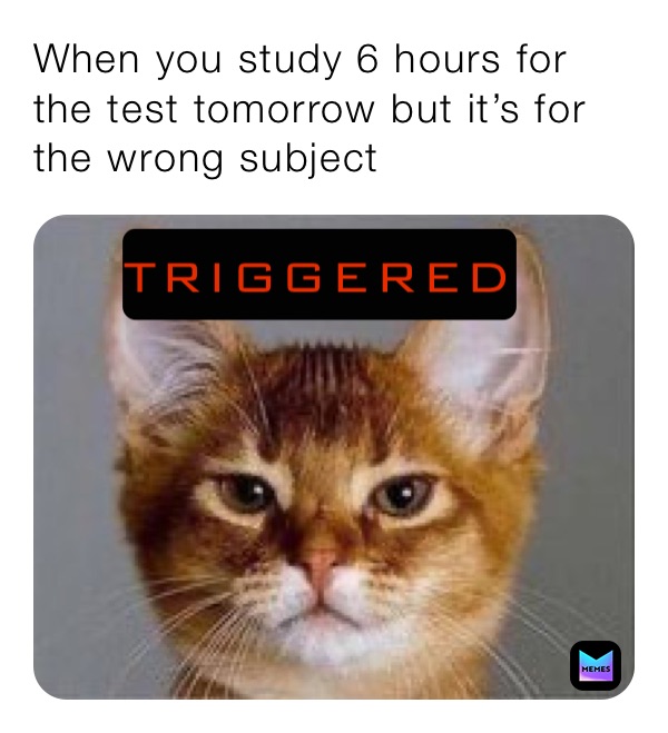 college procrastination meme