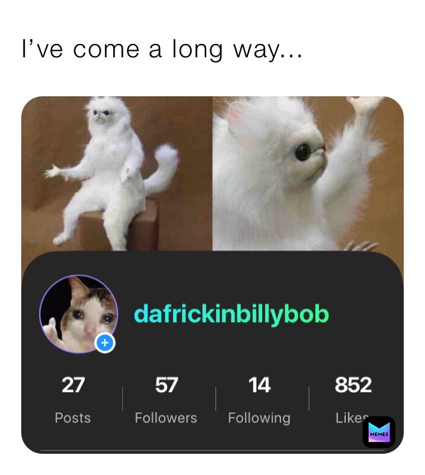 Ok ima look at meme instead of posting. Good Night. Thx so much for 852 likes and 57 followers!!!