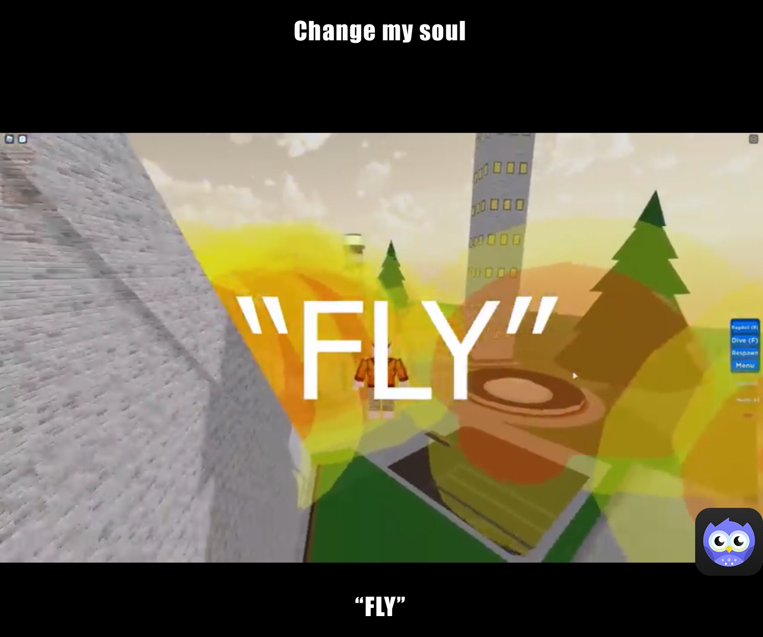 Change my soul￼￼ “FLY”￼