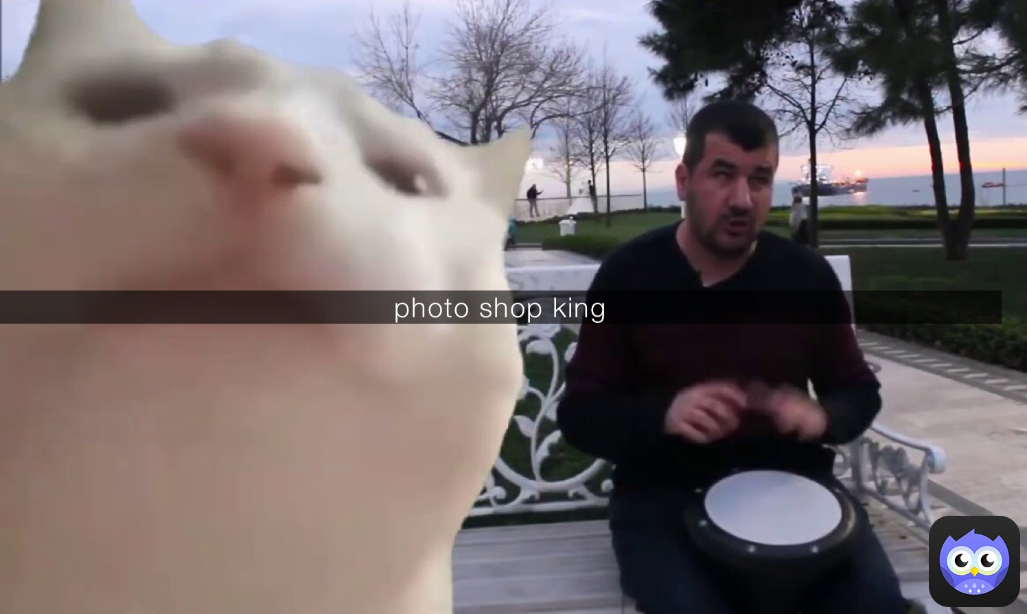 photo shop king