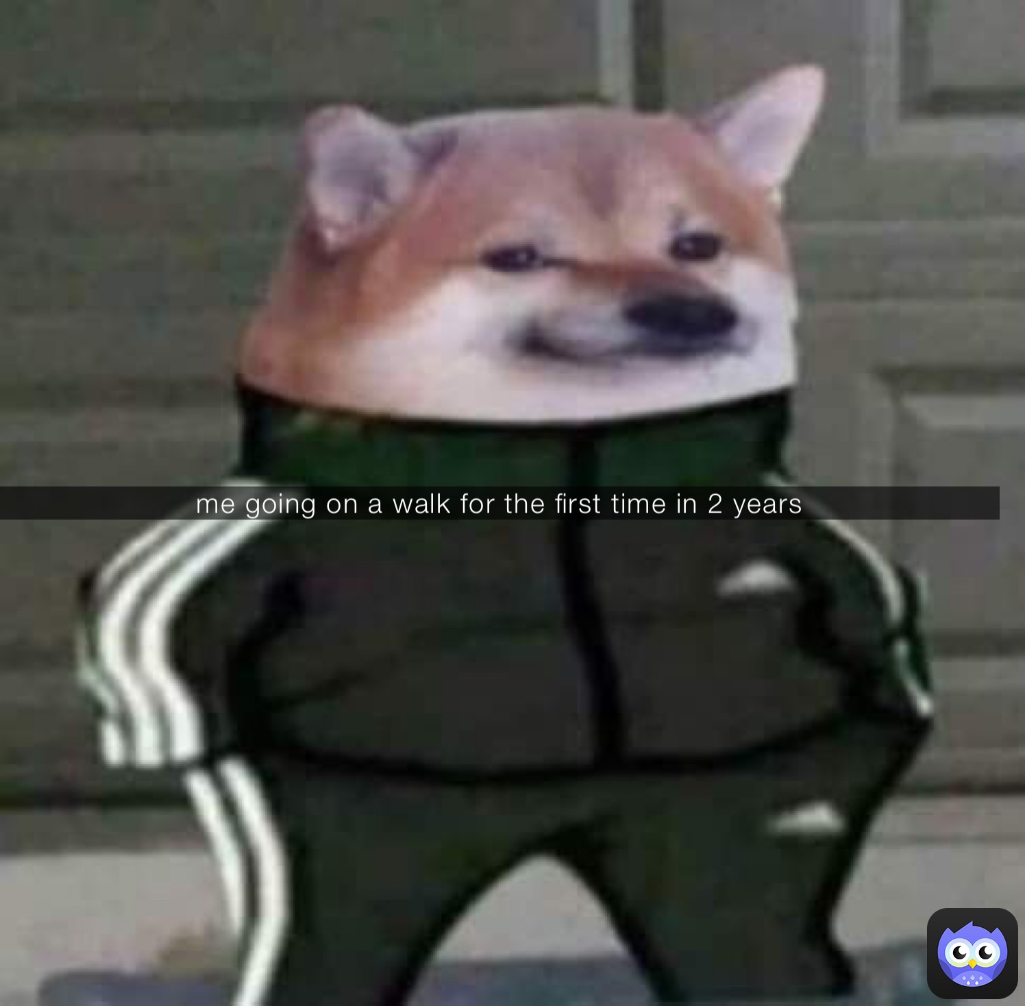 me going on a walk for the first time in 2 years