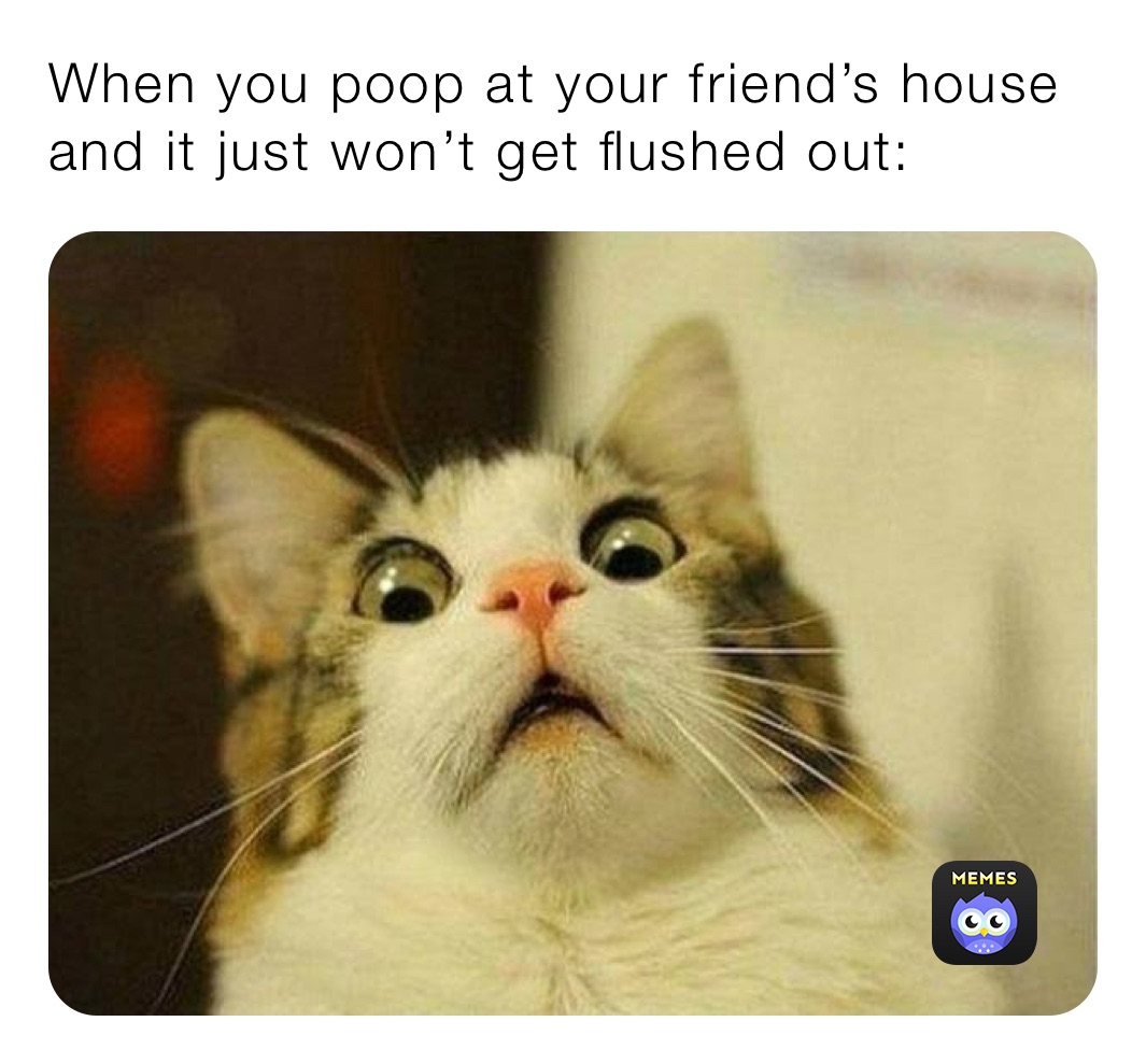 When you poop at your friend’s house and it just won’t get flushed out:
