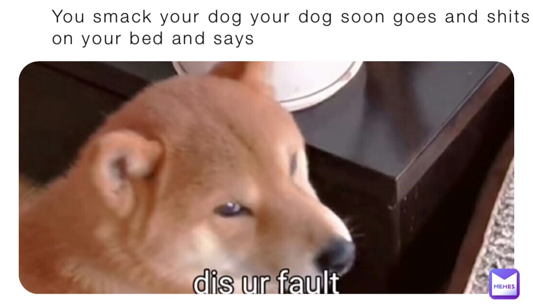 You smack your dog your dog soon goes and shits on your bed and says