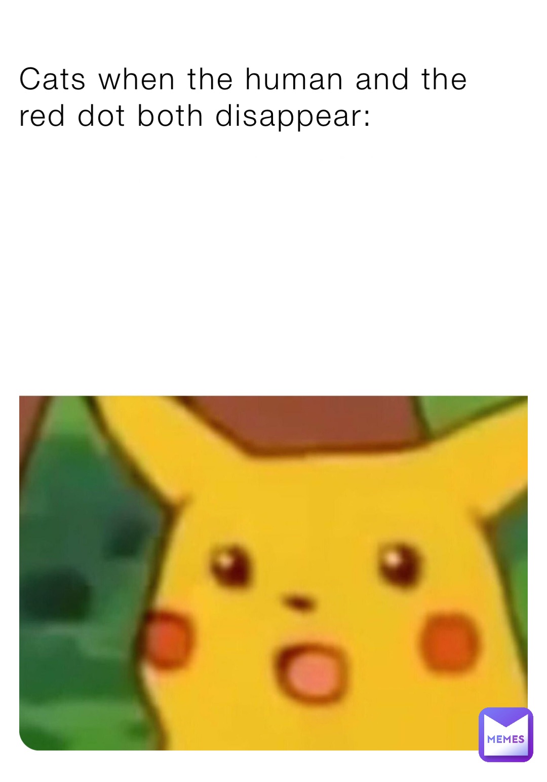 Cats when the human and the red dot both disappear: