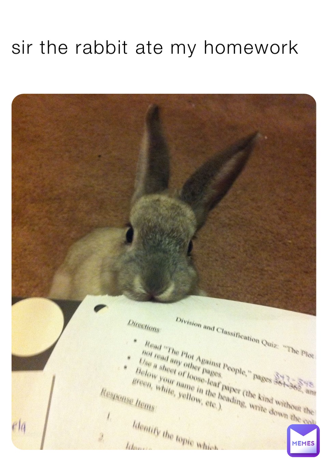sir the rabbit ate my homework