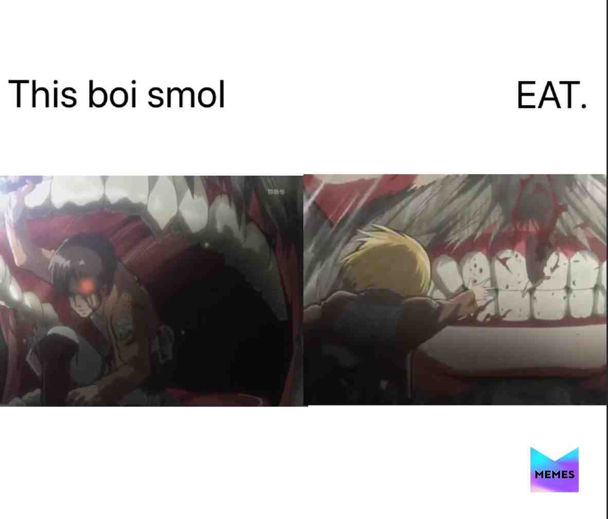 Welp..... #aot #attackontitan #dailymemes