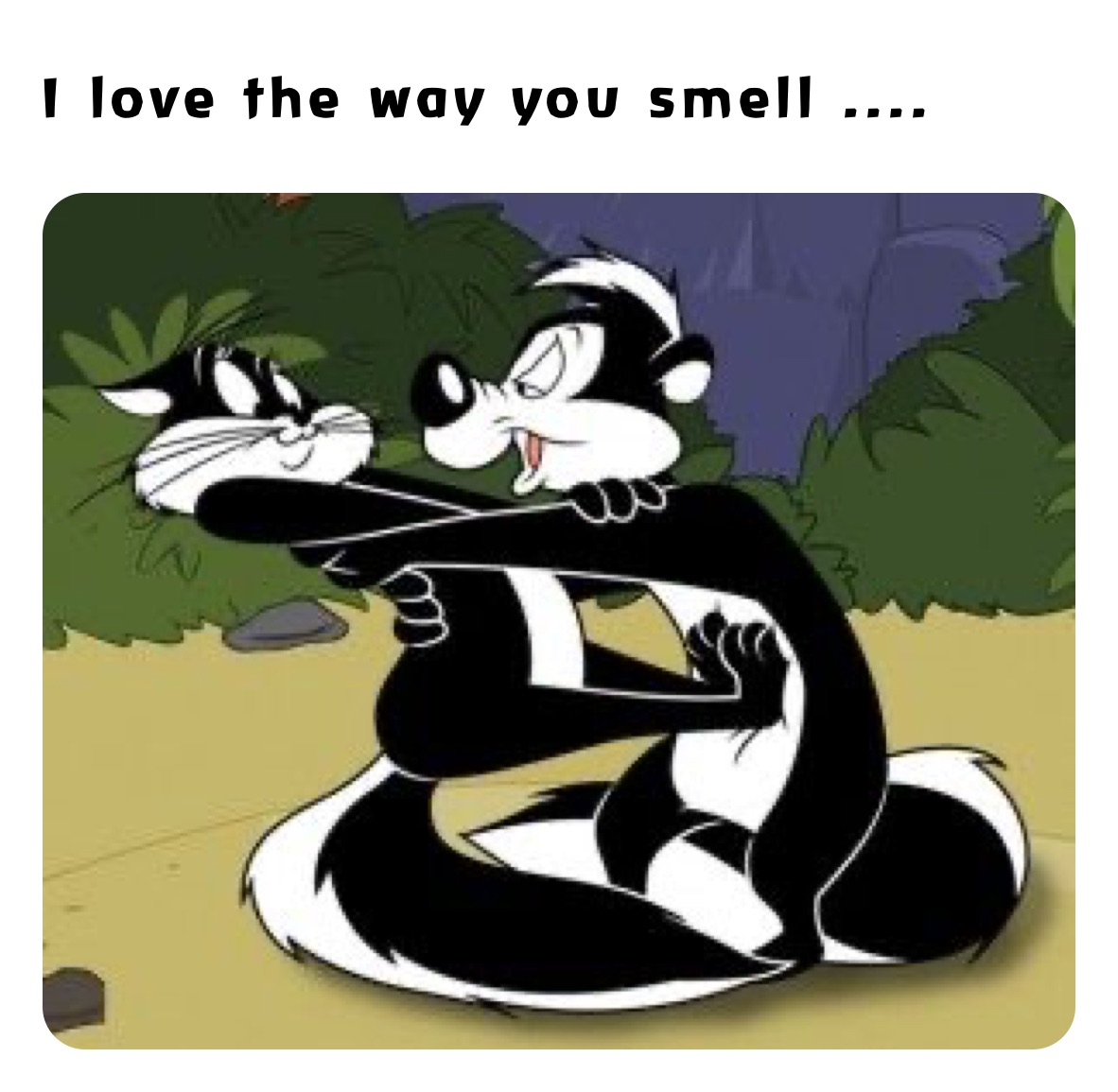 I love the way you smell .... 