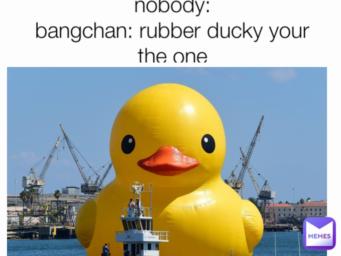 nobody:
bangchan: rubber ducky your the one