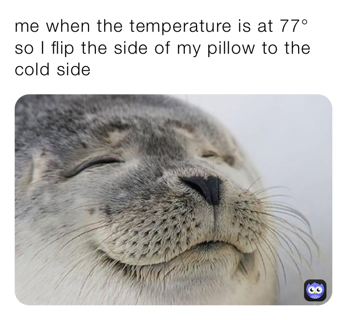 me when the temperature is at 77° so I flip the side of my pillow to