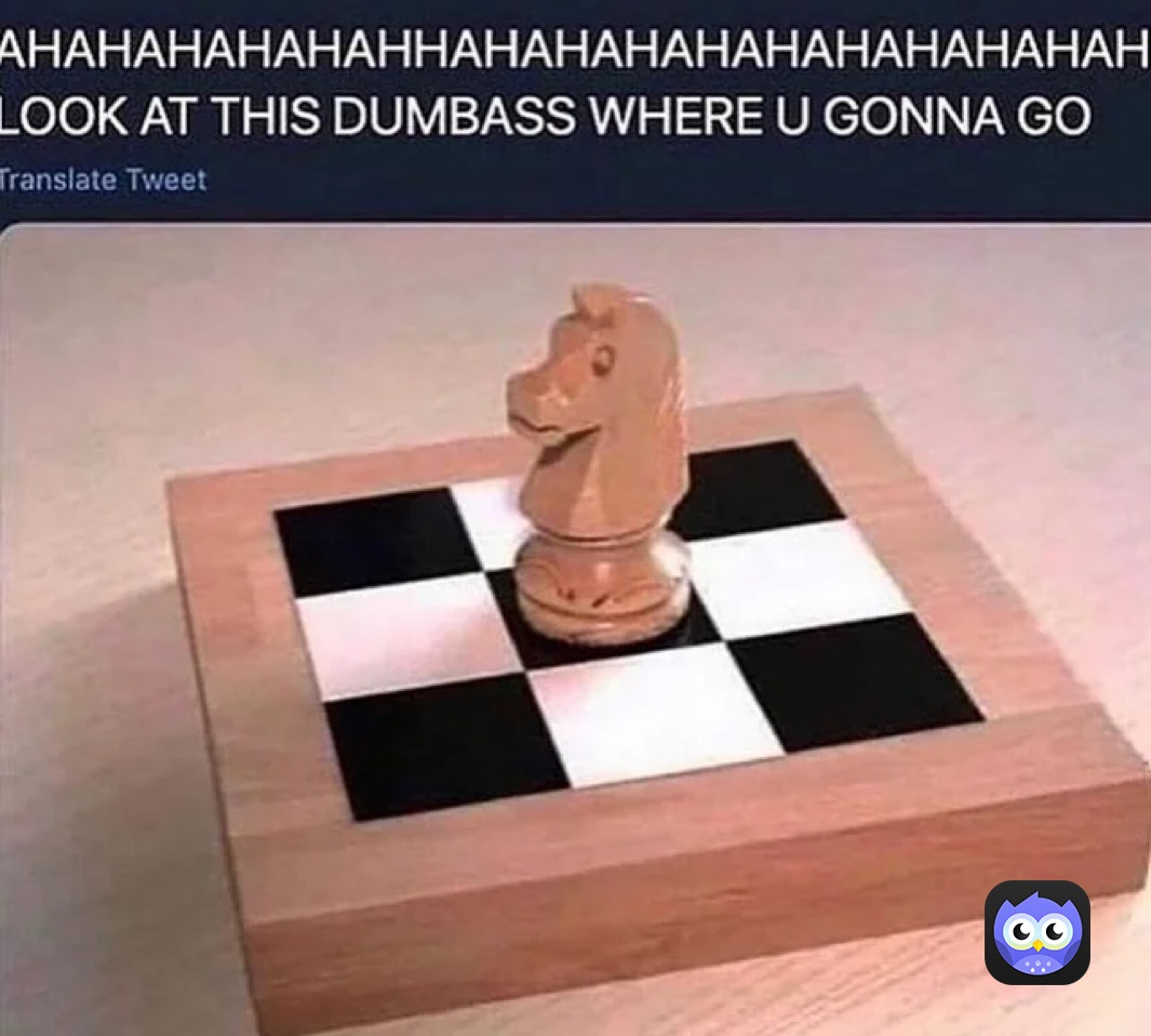 GoChess: Can You Bet Your Friend?