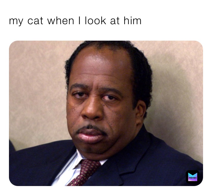 my cat when I look at him 