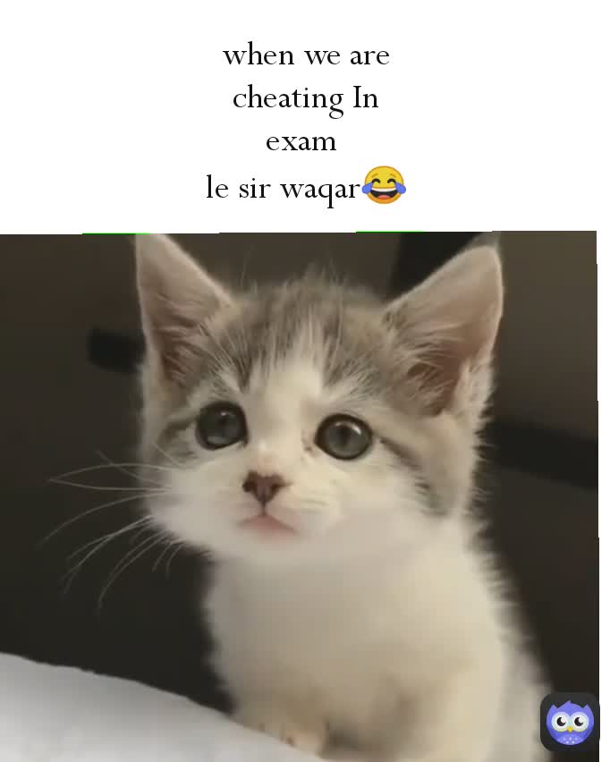 Meme by aliza.zulfiqar702