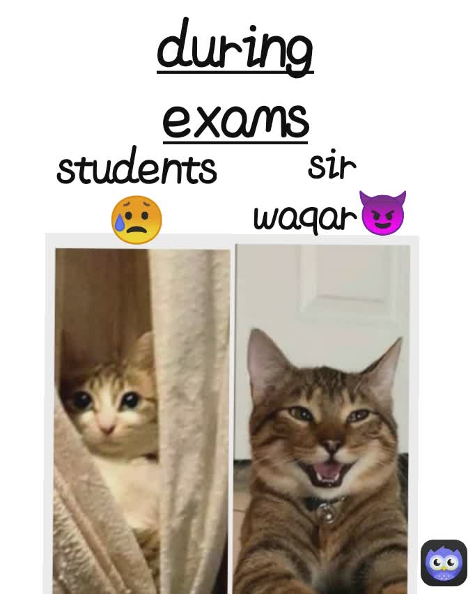 Meme by aliza.zulfiqar702