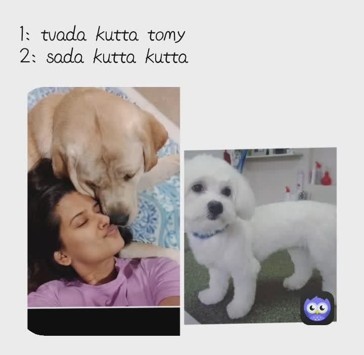 Meme by aliza.zulfiqar702