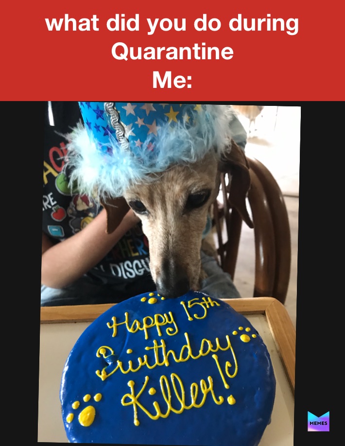 Meme by alexkmeyer89