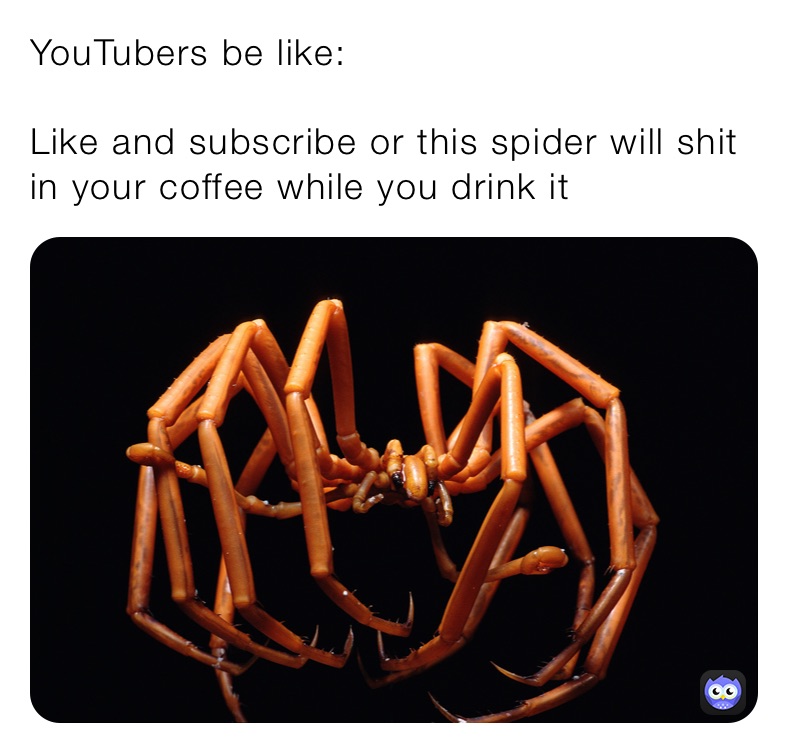 YouTubers be like:

Like and subscribe or this spider will shit in your coffee while you drink it