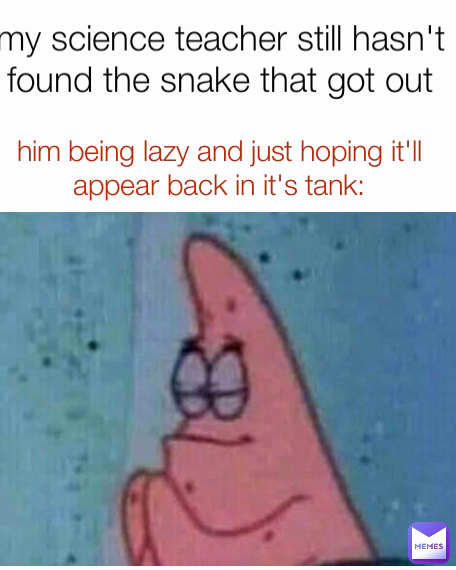 my science teacher still hasn't found the snake that got out him being lazy and just hoping it'll appear back in it's tank: