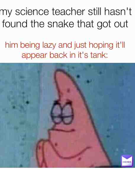 Meme preview