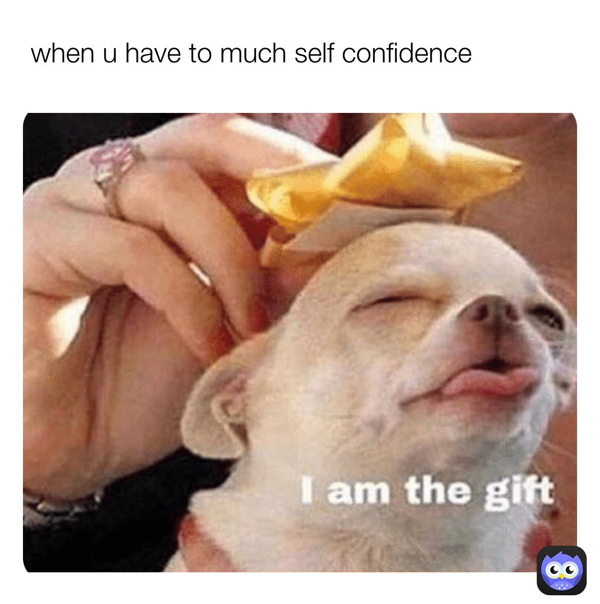 Meme by i.make.memes