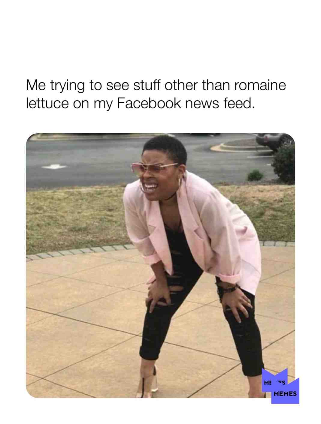 Ok enough with the fucking #lettuce posts