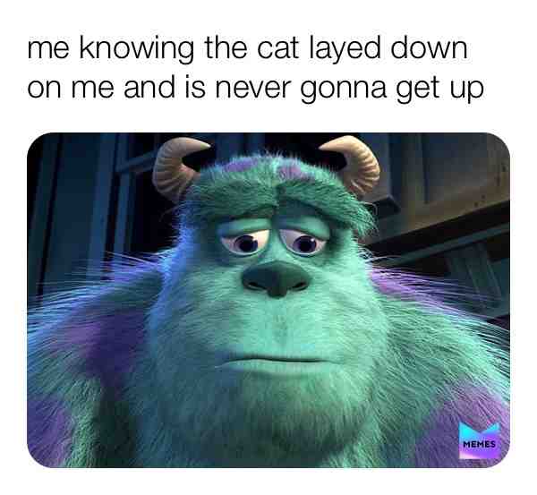 Meme shared by @tay_memes