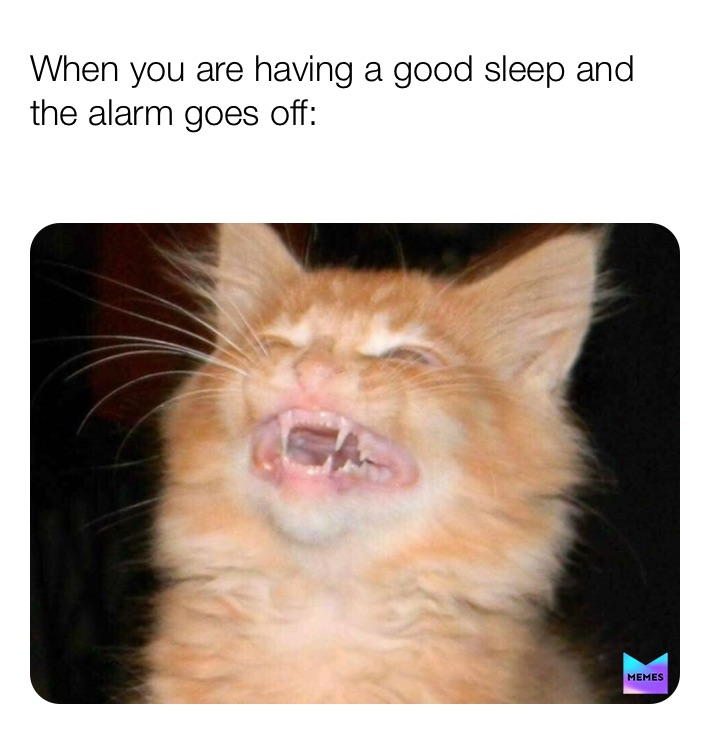 Meme by nasa_king_101