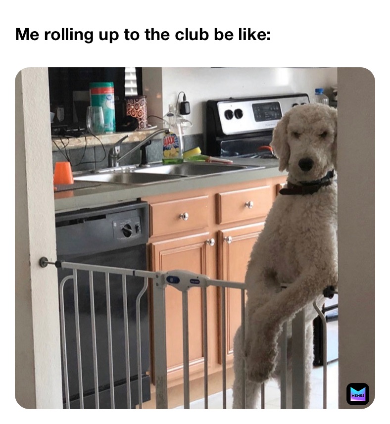 Meme by nasa_king_101