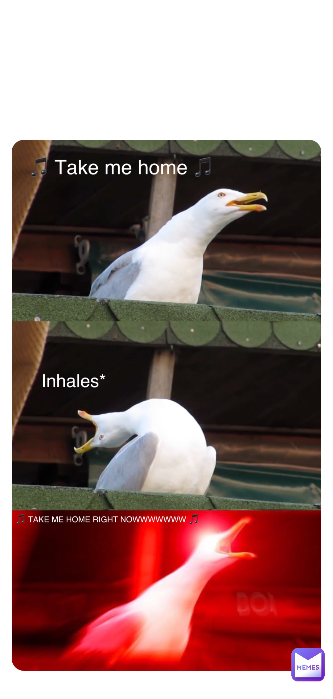 Double tap to edit 🎵 Take me home 🎵 Inhales* 🎵 TAKE ME HOME RIGHT NOWWWWWWW 🎵