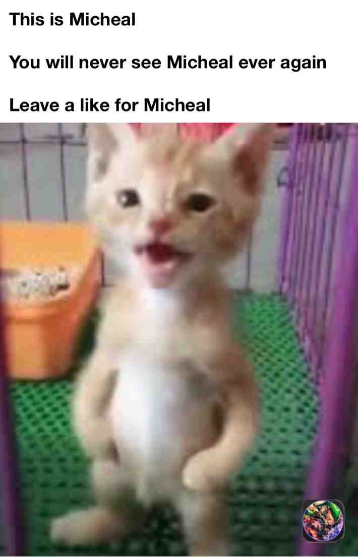 Meme shared by @D_I_O